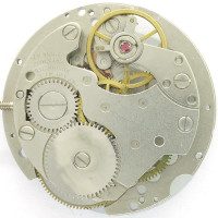 Peter Kern: Baumgartner 582 (skeletonized)