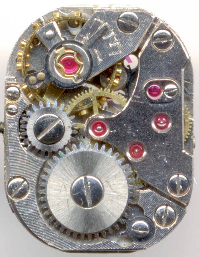 Bifora 49 Bifora 49 |