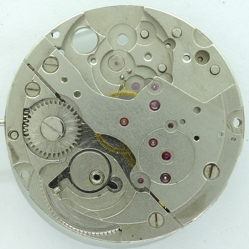 Detail: Ratchet unknown chinese movement: Detail: Ratchet