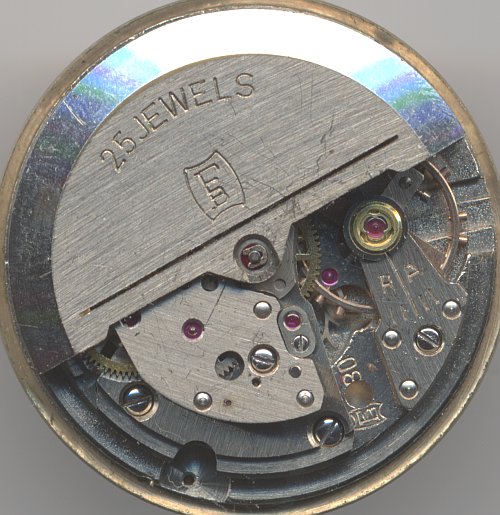 Förster 80 Förster 80 |