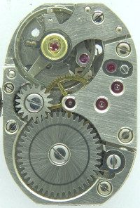 Lars Schröder: Förster 60