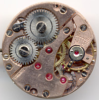 Guba 875 neu Günter G.: Guba 875 neu