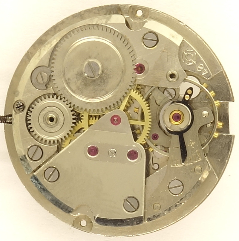 selfwinding module missing Otero 481: selfwinding module missing