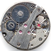 Shanghai ZSH SS7 Klaus Brunnemer: Shanghai ZSH SS7