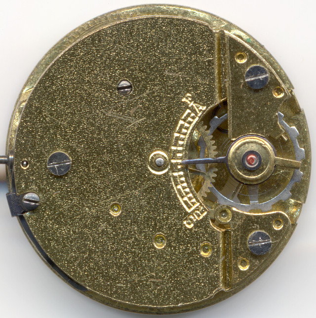 Thiel Lola Thiel Lola |