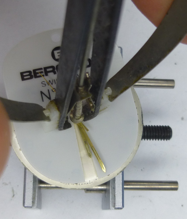 dial protector in use